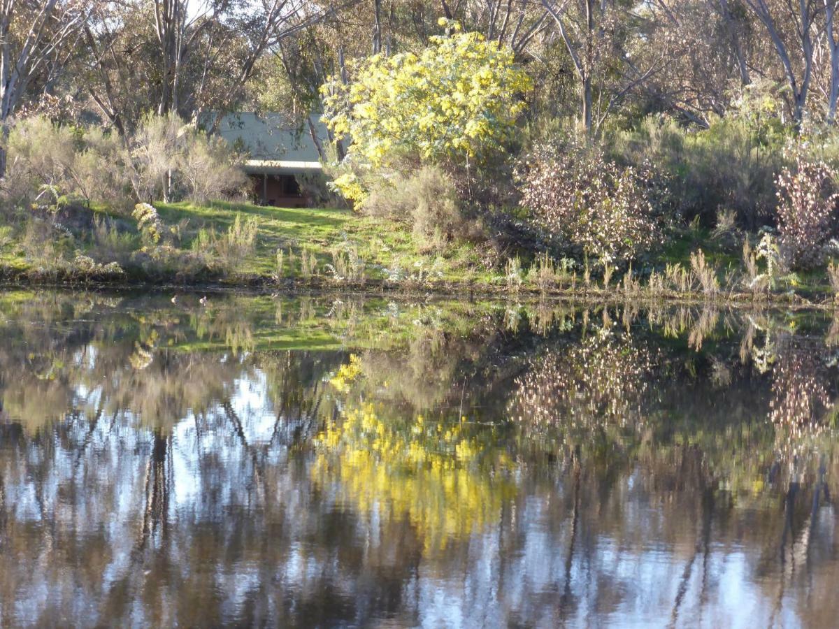 Wildwood Guesthouse Mudgee Exterior photo